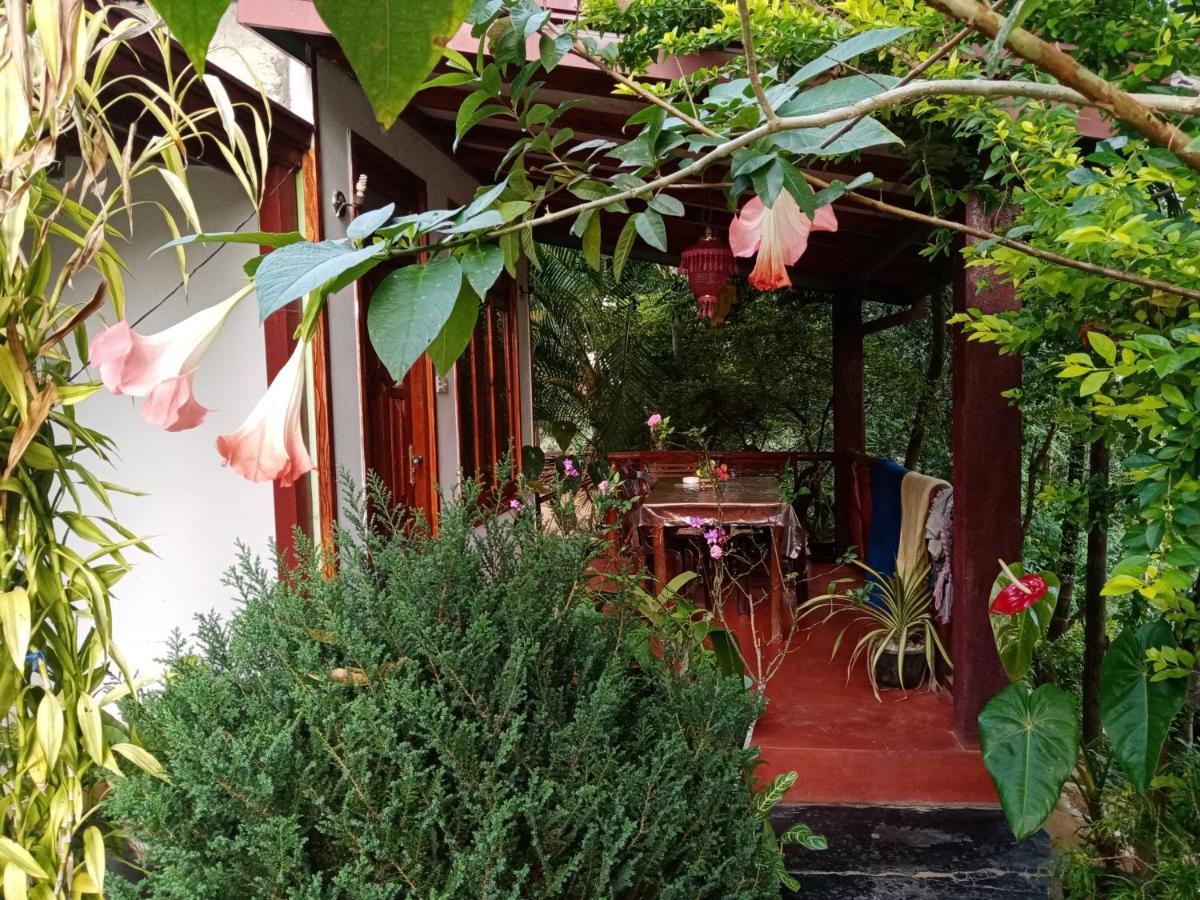 エッラ Littleadems View Bed & Breakfast エクステリア 写真